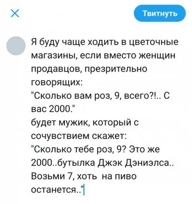 Смешные фото и видео приколы с котами - смотреть картинки, мемы, шутки —  Telegraf.com.ua - Телеграф