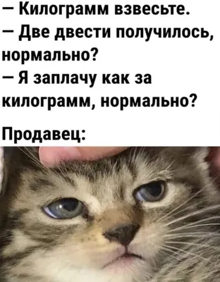 Лягушка, которая смогла, енот-ниндзя и обезьяна на жирафе: самые смешные  снимки диких животных – 2021