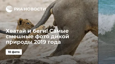 Новые картинки прикольные смешные с надписями