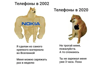 Самые смешные фотографии 2023 года