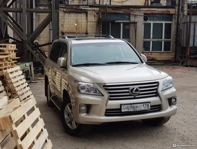 Хочу здоровенный «Лексус»: топ-5 внедорожников Lexus LX всего за 1 миллион  рублей — смотрим, дрова или нет в Новосибирске 30 сентября 2020 - 30  сентября 2020 - НГС