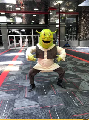 Shrek :: DreamWorks :: Мультфильмы :: cosplay :: упоротый косплей / смешные  картинки и другие приколы: комиксы, гиф анимация, видео, лучший  интеллектуальный юмор.