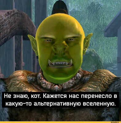 Shrek (Shrek) / смешные картинки и другие приколы: комиксы, гиф анимация,  видео, лучший интеллектуальный юмор.