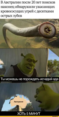 Shrek (Shrek) / смешные картинки и другие приколы: комиксы, гиф анимация,  видео, лучший интеллектуальный юмор.