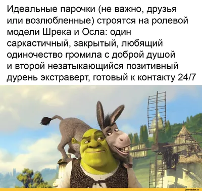 Shrek (Shrek) / смешные картинки и другие приколы: комиксы, гиф анимация,  видео, лучший интеллектуальный юмор.