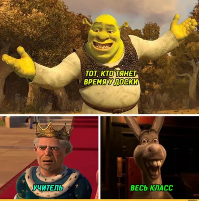 ВЕСЬ КЛАСС / Шрек (Shrek) :: DreamWorks :: Приколы для даунов ::  Мультфильмы :: разное / картинки, гифки, прикольные комиксы, интересные  статьи по теме.