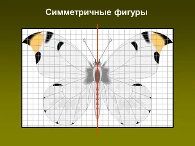 Симметричные рисунки по клеточкам математика (48 фото) » рисунки для  срисовки на Газ-квас.ком