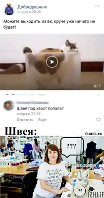 Abibas, Kuma и шлепки от McDnоald's. Смешная подборка фото \"оригинальных\"  брендов | Minsknews.by | Дзен