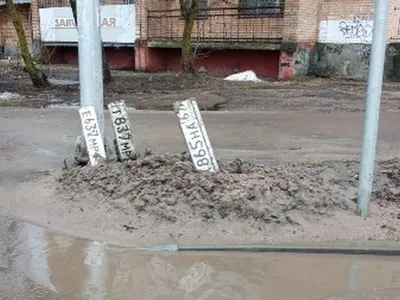 Смешной чихуахуа в стиле стикер ВК…» — создано в Шедевруме