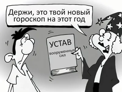 Выбраны самые смешные фото домашних животных 2023 года - Новости  Сахалинской области – Фотогалерея, фото 18 - ASTV.ru