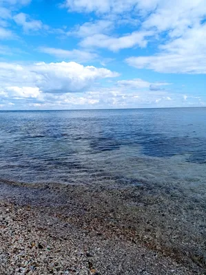 Гороскоп від Максима Маярчука - ЗЛОЙ ГОРОСКОП Ниже будут краткие  характеристики знаков Зодиака. Краткие, злые, и, по возможности, смешные. И  да: у каждого человека всегда активно несколько знаков (независимо от дня  рождения).