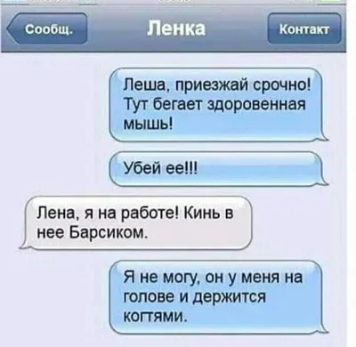 Смешные картинки про лену