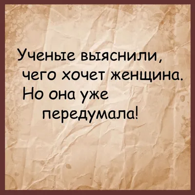 Смешные анекдоты, забавные афоризмы, пркольные картинки | Mixnews