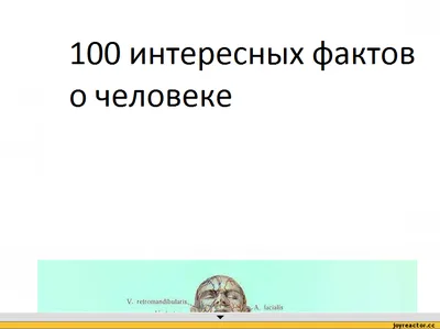 Факты в картинках » Приколы, юмор, фото и видео приколы, красивые девушки  на кайфолог.нет