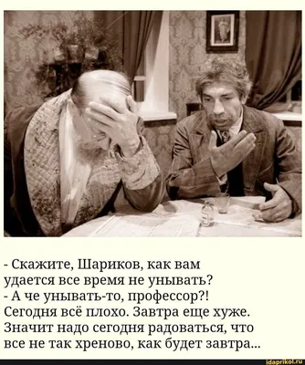 Смешные философские картинки