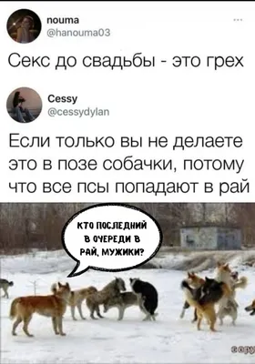 Пошлый юмор и смешные высказывания