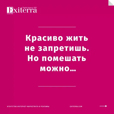 Смешные фразы и афоризмы со смыслом: 50+ высказываний