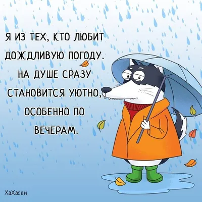 Найдено на АйДаПрикол | Юмористические цитаты, Позитивные цитаты, Веселые  высказывания