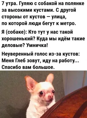 Позитивные картинки Доброе утро 😄 👇 - скачать | Смешные рисунки, Доброе  утро, Забавные иллюстрации