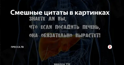 23 марта - День работников гидрометеорологической службы России. Веселые  картинки и смешные цитаты. | Надежда | Дзен