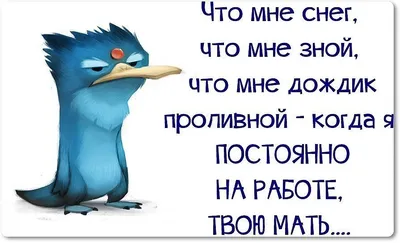 Смешные фразы: истории из жизни, советы, новости, юмор и картинки —  Горячее, страница 3 | Пикабу