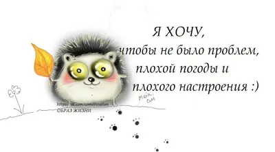 Магнит на холодильник А4, Устав мамы смешной, прикольный, смешные  высказывания любой мамы Семейныйуставмамы - купить по выгодной цене в  интернет-магазине OZON (884117881)