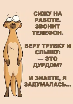 О вязании с юмором. Смешные картинки и анекдоты | Красота Рукодельная | Дзен