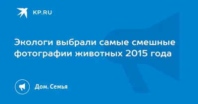 Смешной плакат из фильма «Звезда» 6 (2015), фото Обложка, фото печать,  Декор для дома в квартире, настенная живопись (без рамки) | AliExpress