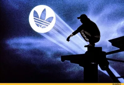 Adidas (адидас) / смешные картинки и другие приколы: комиксы, гиф анимация,  видео, лучший интеллектуальный юмор.