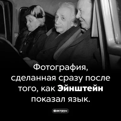 Лучшие смешные картинки с надписями, анекдоты и приколы - Ржы! | Смешно,  Смешные морды животных, Веселые картинки