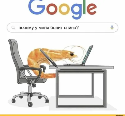 ооод1е почему у меня болит спина? / Google :: интернет :: смешные картинки  (фото приколы) / смешные картинки и другие приколы: комиксы, гиф анимация,  видео, лучший интеллектуальный юмор.