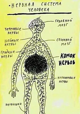 Смешные картинки про спину