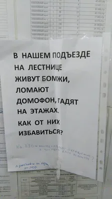 Крик помощи в подъезде | Пикабу