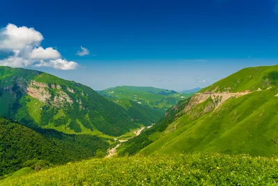 Чеченские маршруты, отзыв от туриста ilmelnik на Туристер.Ру