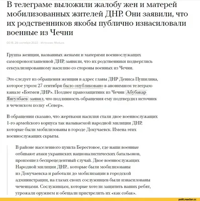 Бывший российский репортер заявила о превосходстве чеченских мужчин над  русскими: ТВ и радио: Интернет и СМИ: Lenta.ru