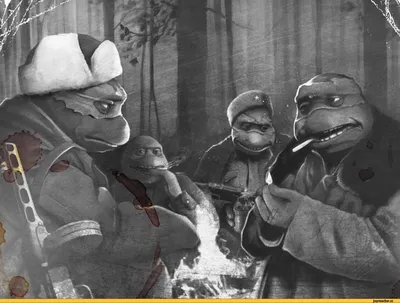 Черепашки ниндзя (Teenage Mutant Ninja Turtles) :: война :: ретро ::  воспоминания :: фотографии / смешные картинки и другие приколы: комиксы,  гиф анимация, видео, лучший интеллектуальный юмор.