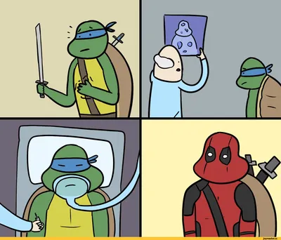 Pin by Lucia Escot campoy on Tortugas ninjas | Teenage ninja turtles, Cute  turtles, Tmnt