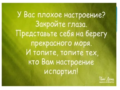 Картинки, Поднять настроение: подборки картинок, поздравительные картинки,  смешные картинки — Лучшее, страница 8 | Пикабу