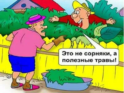 Смешные картинки «Мечты сбываются!» | Юмор, Смешно, Мечта