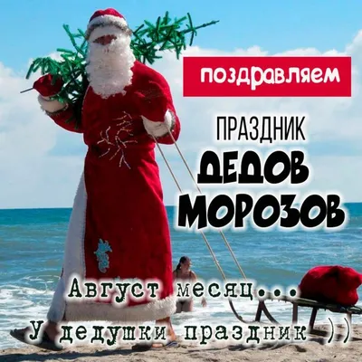 🎉День Дедов Морозов в 2023 г | Дед мороз, Счастливые картинки, Смешные  открытки