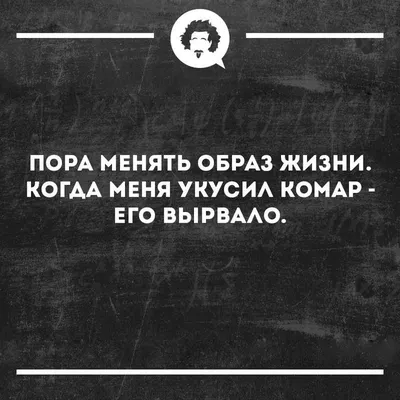 Вегетрангиддон майки жилет вегетарианские овощи диета питание смешная еда  помидоры перцы морковь Peta мультяшный смешной юмор | AliExpress