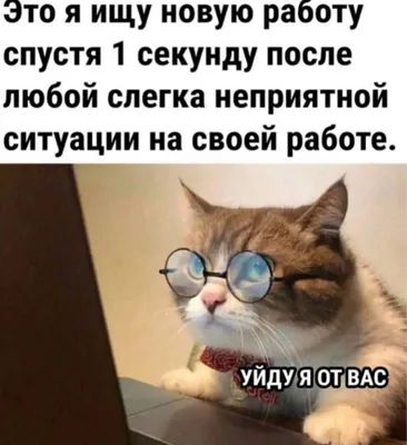 Смешные картинки для группы вконтакте