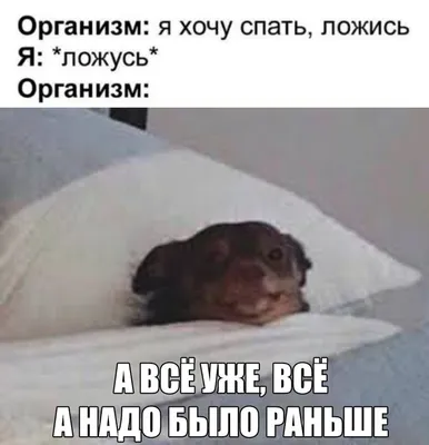 Смешные резюме