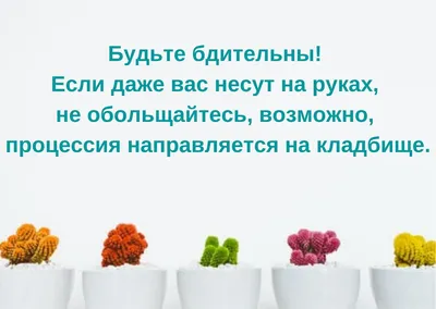 Пин от пользователя Ольга Диканская на доске в статус | Цитаты, Смешные  высказывания, Смешно