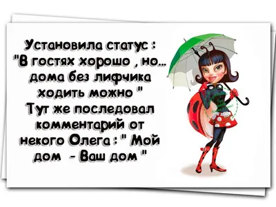 Крупный план желтоногой черепахи, смешной тропической черепахи из Америки,  рептилии с уязвимым статусом стоковое фото ©jaapbleijenberg 269655708