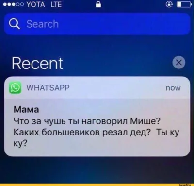 WhatsApp стикеры. Прикольные животные – скачать приложение для Android –  Каталог RuStore