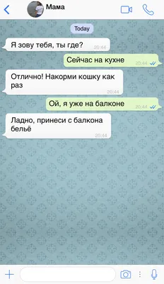 Прикольные картинки для WhatsApp (50 фото) - ФУДИ