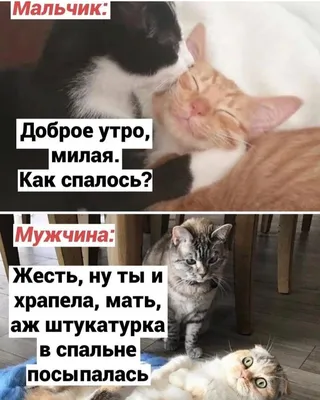 Картинки \"Доброе утро понедельника\"