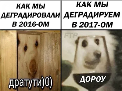 Дратути картинки смешные