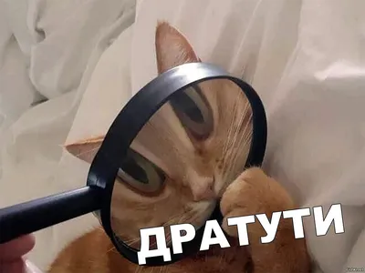 дратути | TikTok